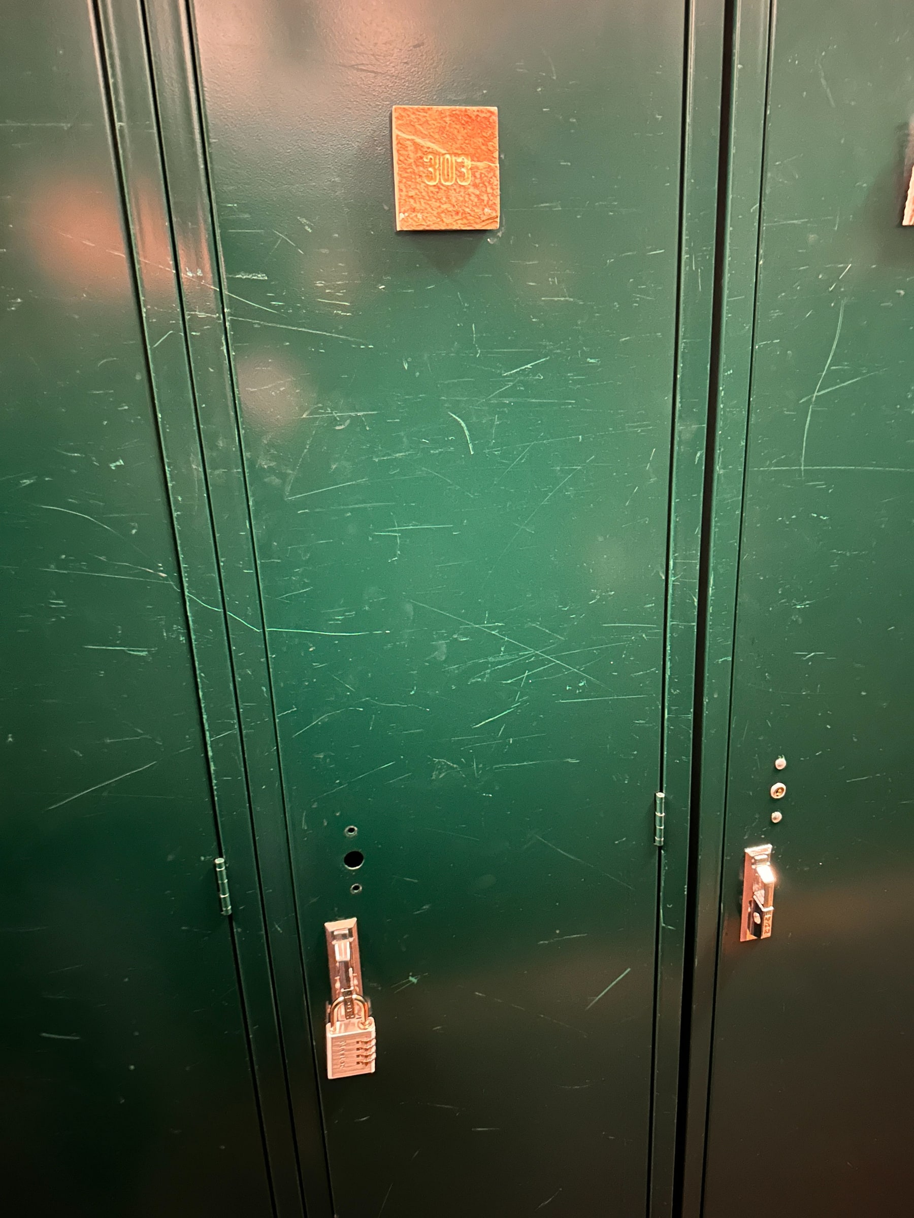 Ski Locker 1