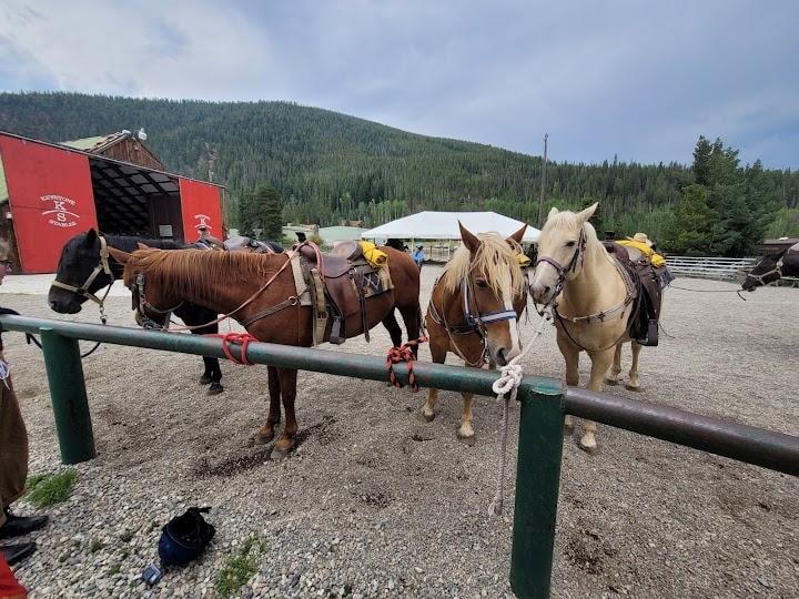 Keystone Stables