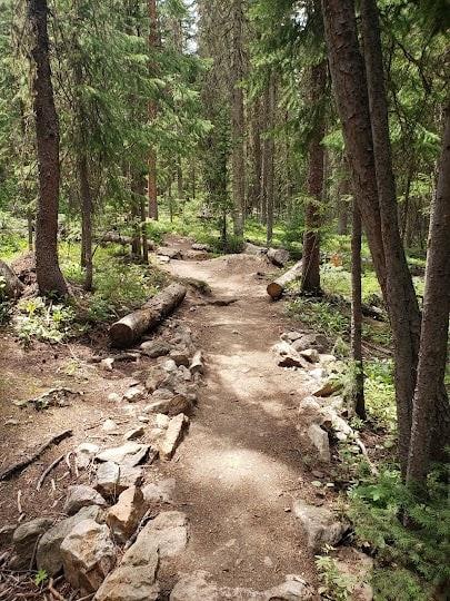 Buffalo Mountain Trailhead