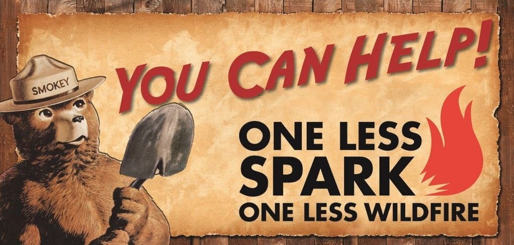 Wildfire Preparedness and Prevention 1